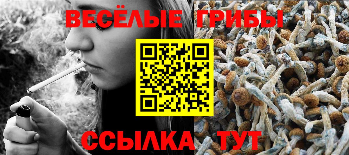 Псилоцибиновые грибы ЛСД Апатиты